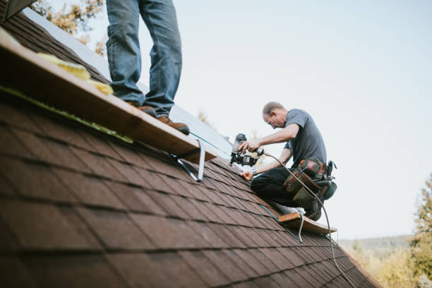 Professional Roofing Contractor in Bowdon, GA